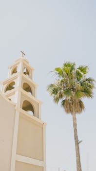 A serene view of a church tower beside a palm tree in Guadalupe, Mexico.