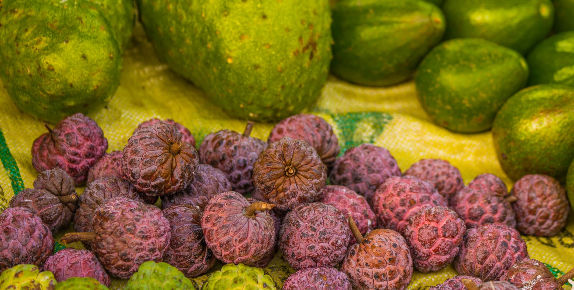 Kandungan Vitamin C dalam Jambu Biji Lebih Tinggi dari Jeruk