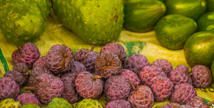 Colorful assortment of tropical fruits including sugar apples and avocados on a market stall.