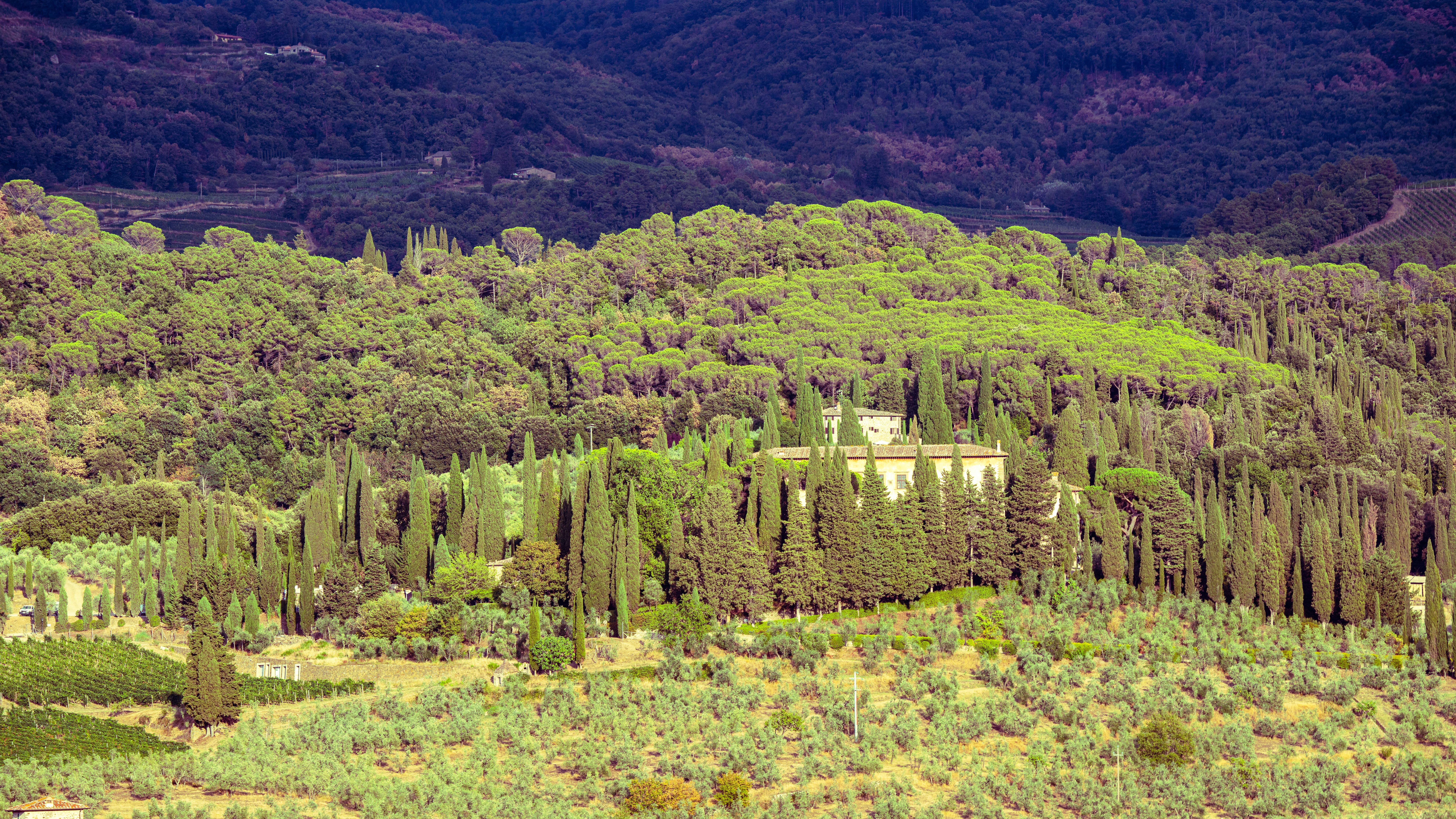 4 Day Restore & Renew Ashtanga and Spa Yoga Retreat in Tuscany 1