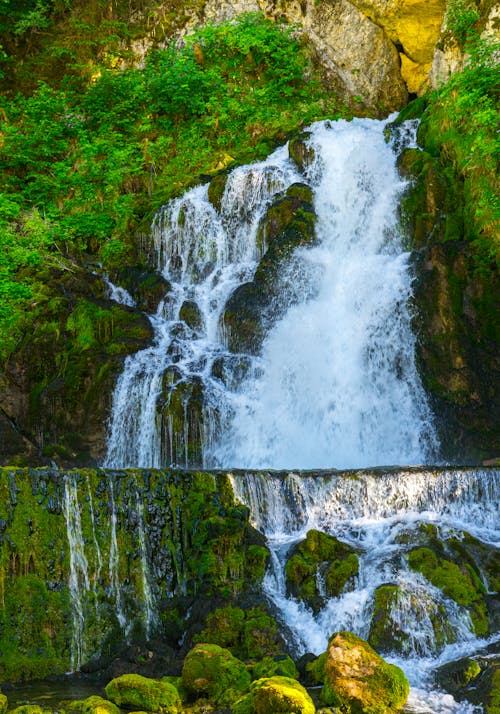 Immagine gratuita di acqua corrente, alberi, cascata