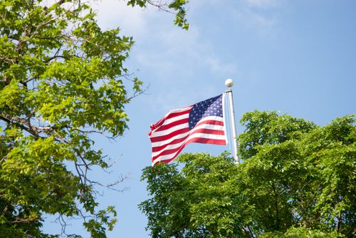 Free Vibrant American flag waving amidst lush green trees with a clear blue sky background. Stock Photo