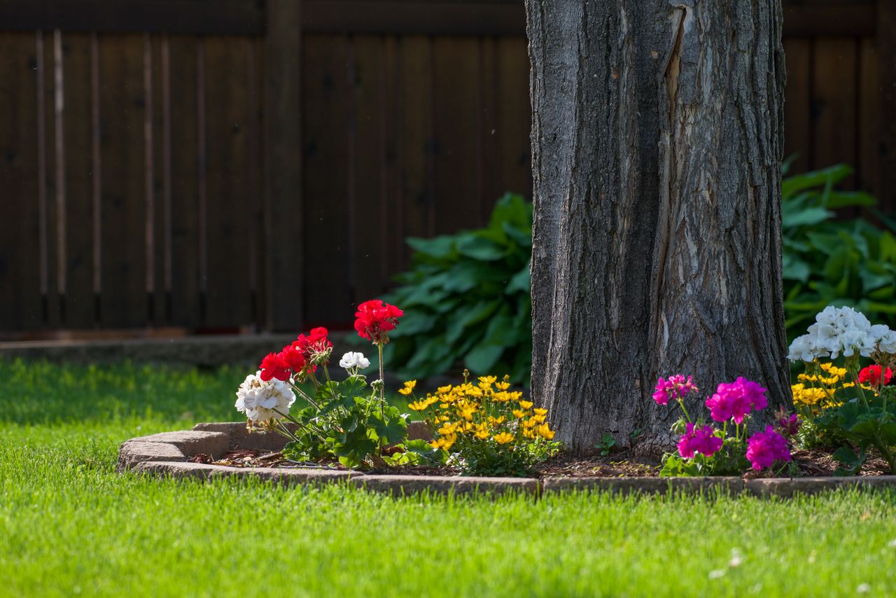 Tree ring with stone edging and colorful flowers in a bright green backyard lawn
