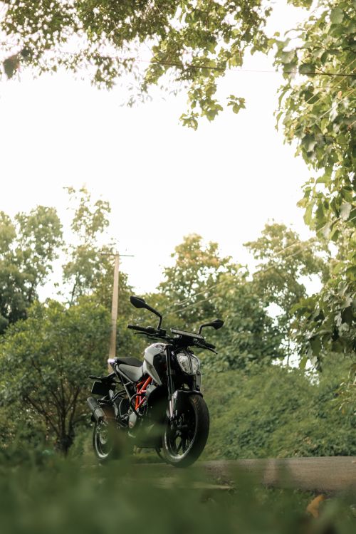 Free Stylish motorcycle resting on a scenic road in a lush forest setting in India. Stock Photo
