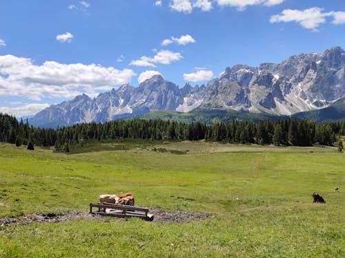 Безкоштовне стокове фото на тему «hutte, malga nemes, sexten»