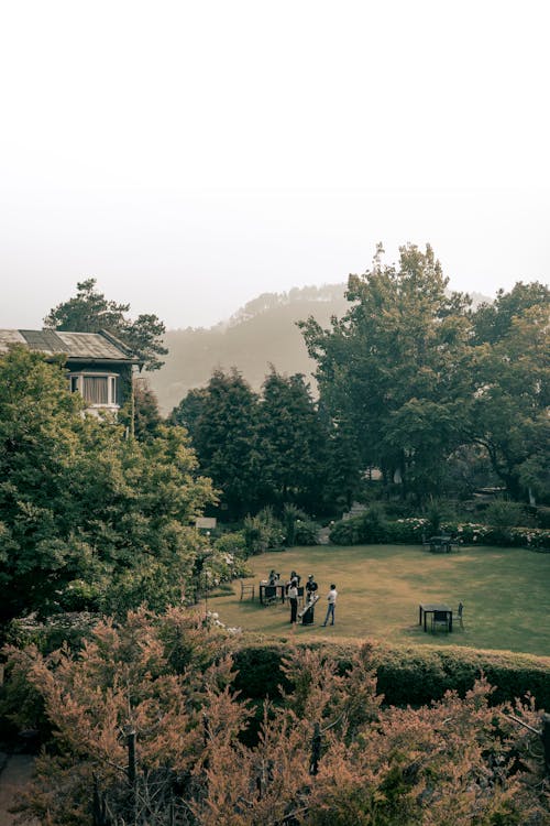 People on the Lawn Near a House Surrounded With Green Trees