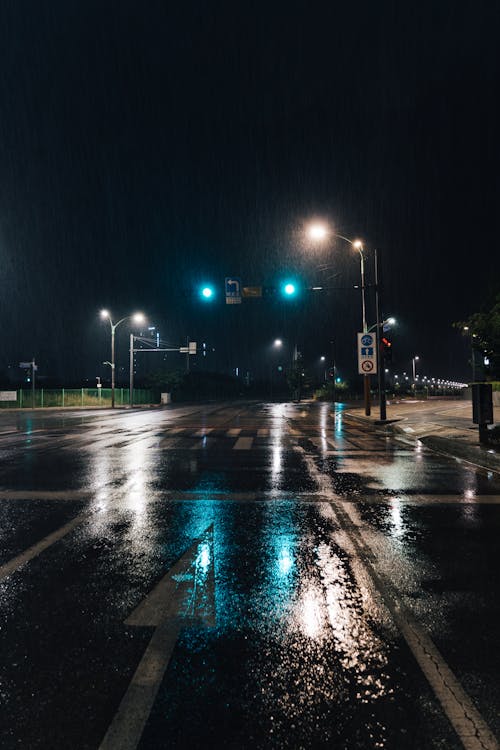 Illuminated Lights and Traffic Lights Along a Wet Road