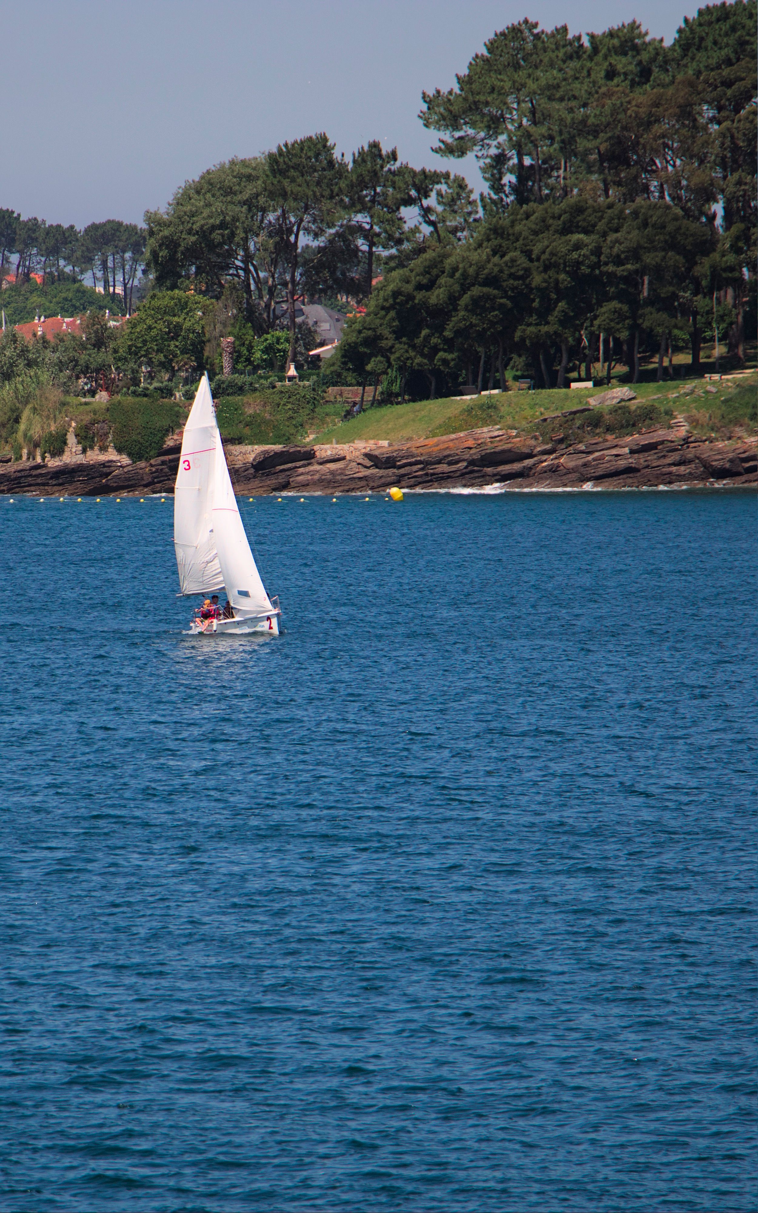 Tree Sailing Photos, Download The BEST Free Tree Sailing Stock Photos ...
