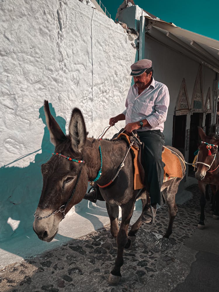 Man In White Long Sleeves Riding A Mule