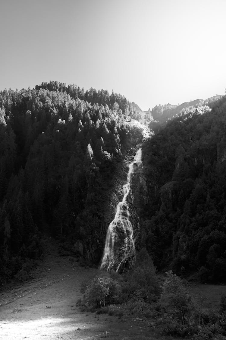 Waterfall In Black And White