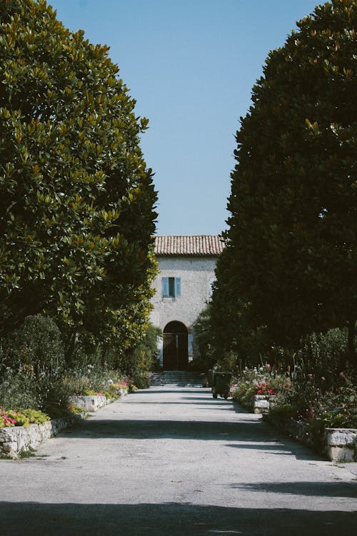 Empty Pathway Towards House