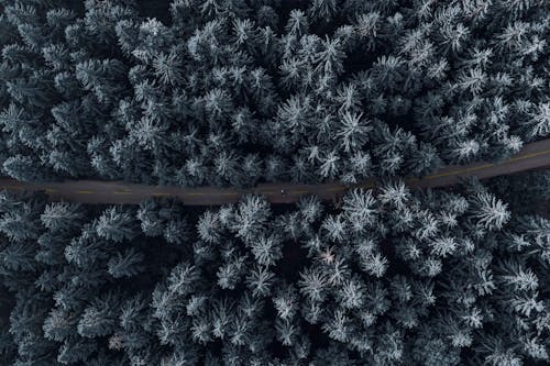 Gratis lagerfoto af droneoptagelse, luftfotos, natur