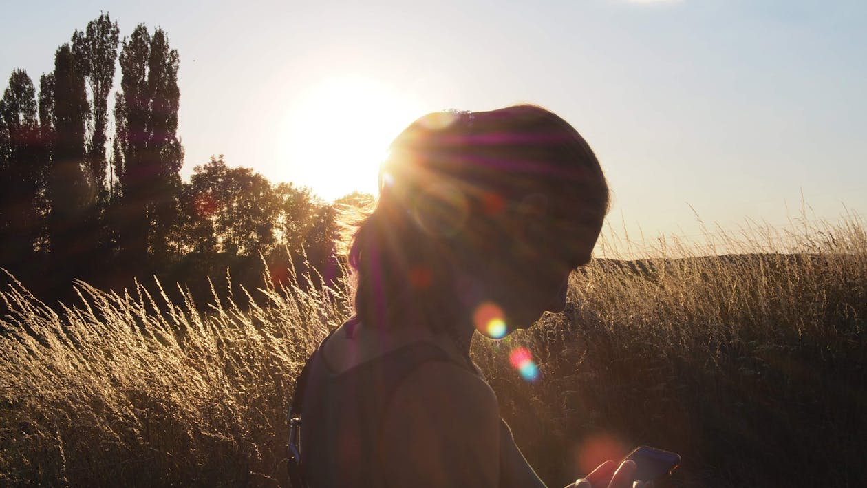 Free Silhouette of Woman Standing Near Green Grass Plants Stock Photo