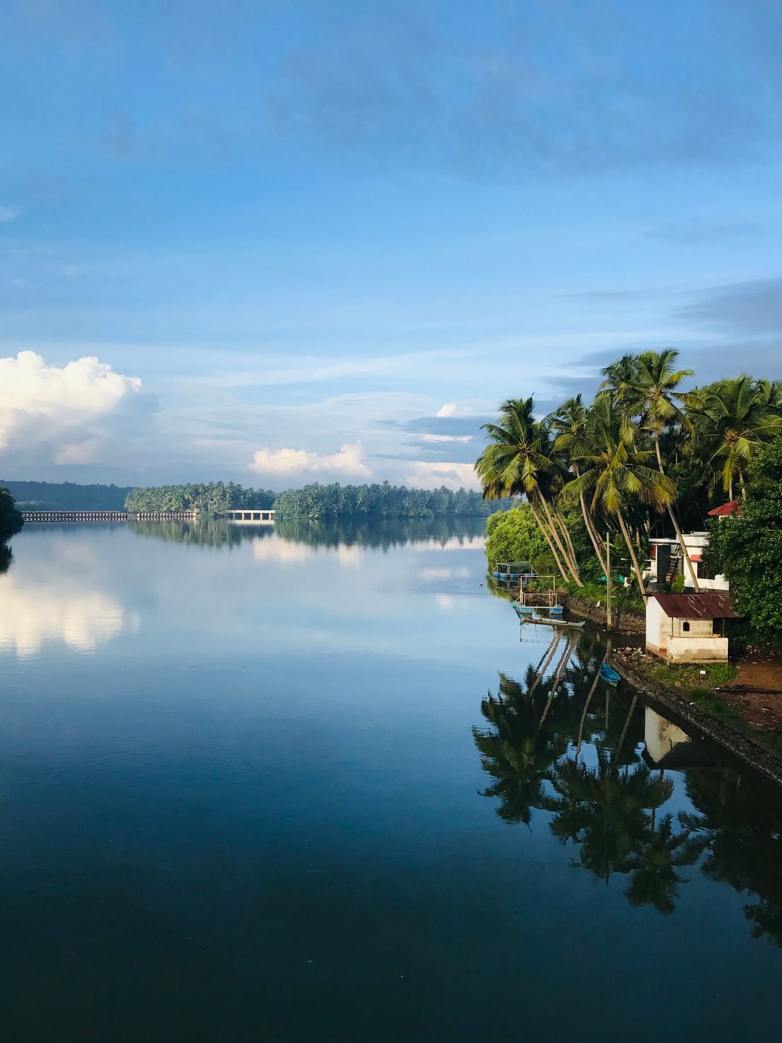 Calm Lake under the Cloudy Blue Sky · Free Stock Photo