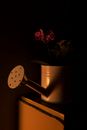 Poetical Images