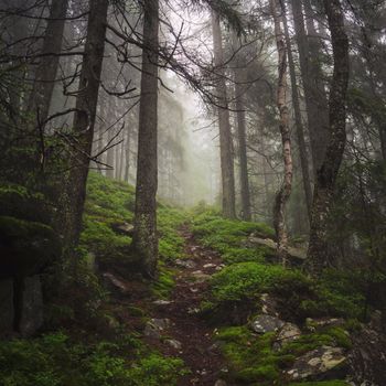 Appalachian Trail