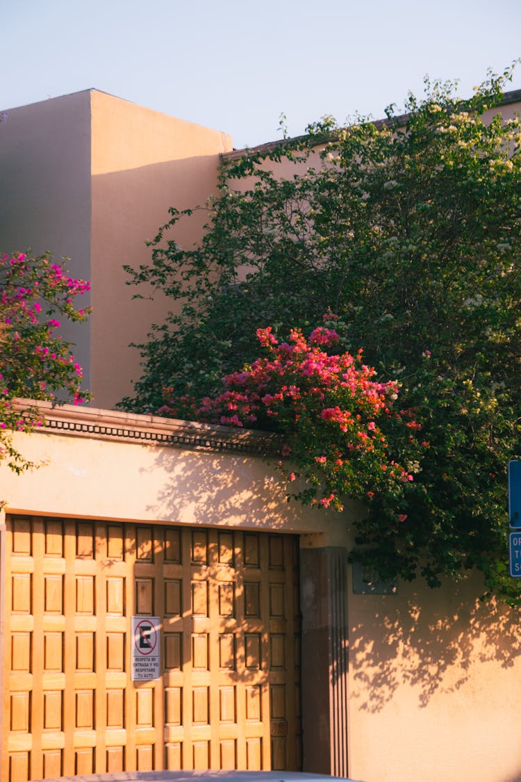 Wooden Garage Doors With Bougainvillea Flowers On Roof