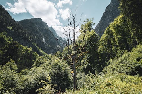 คลังภาพถ่ายฟรี ของ alpen, garmisch, garmisch partenkirchen