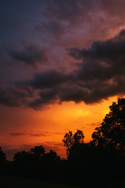 Free Vivid sunset sky with silhouetted trees against a backdrop of dramatic clouds. Stock Photo