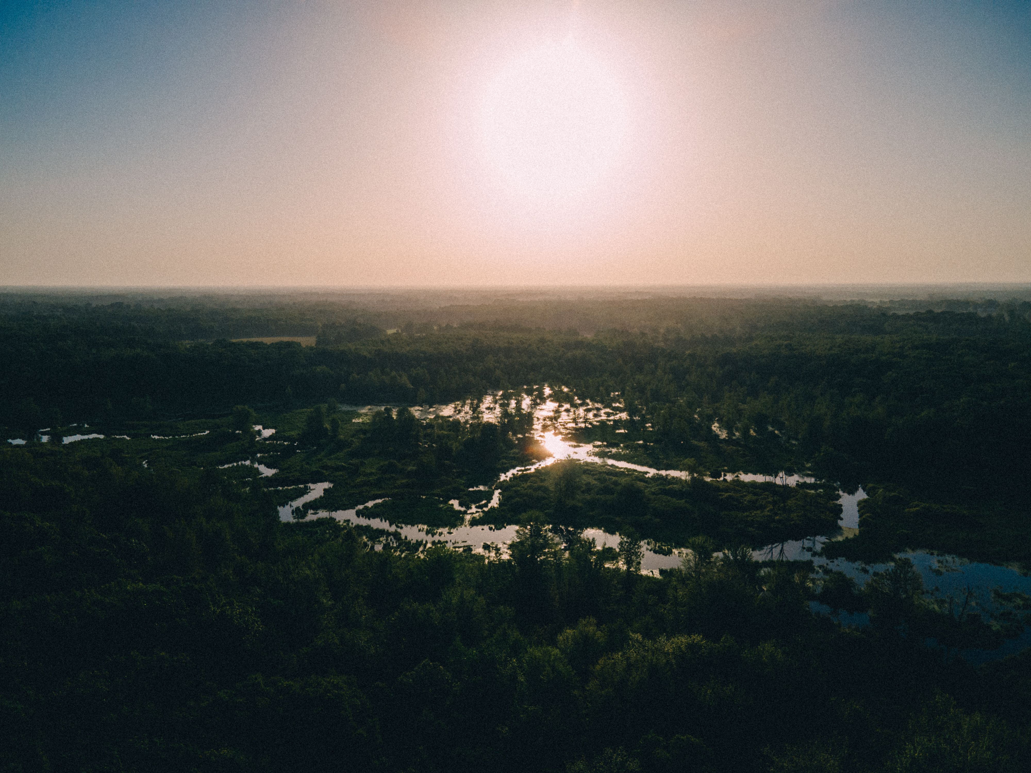Incredible Mackinac Bridge Helicopter Tour Review: Soaring Over Michigan's Most Iconic Landmark Review 2026 - A breathtaking aerial view of a lush forest landscape reflecting the sunset in Fulton, Michigan.