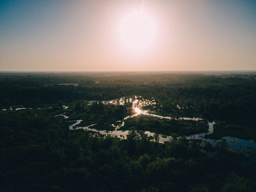 Incredible Mackinac Bridge Helicopter Tour Review: Soaring Over Michigan's Most Iconic Landmark Review 2026 - A breathtaking aerial view of a lush forest landscape reflecting the sunset in Fulton, Michigan.