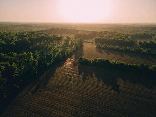 Aerial Photography of Green Trees and Agricultural Field during Sunrise
