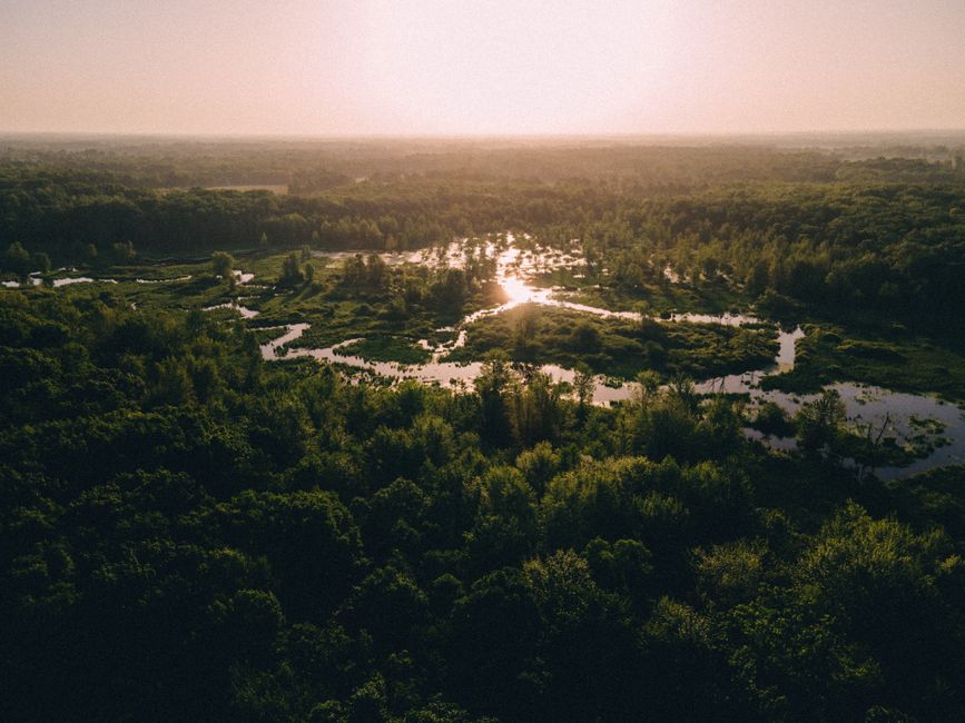Incredible Mackinac Bridge Helicopter Tour Review: Soaring Over Michigan's Most Iconic Landmark Review 2026 - Stunning aerial shot of lush green wetlands surrounded by dense forest at sunset in Fulton, Michigan.