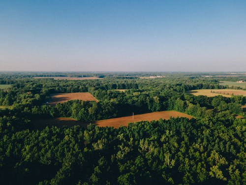 Foto d'estoc gratuïta de arbres verds, cel blau, foto des d'un dron