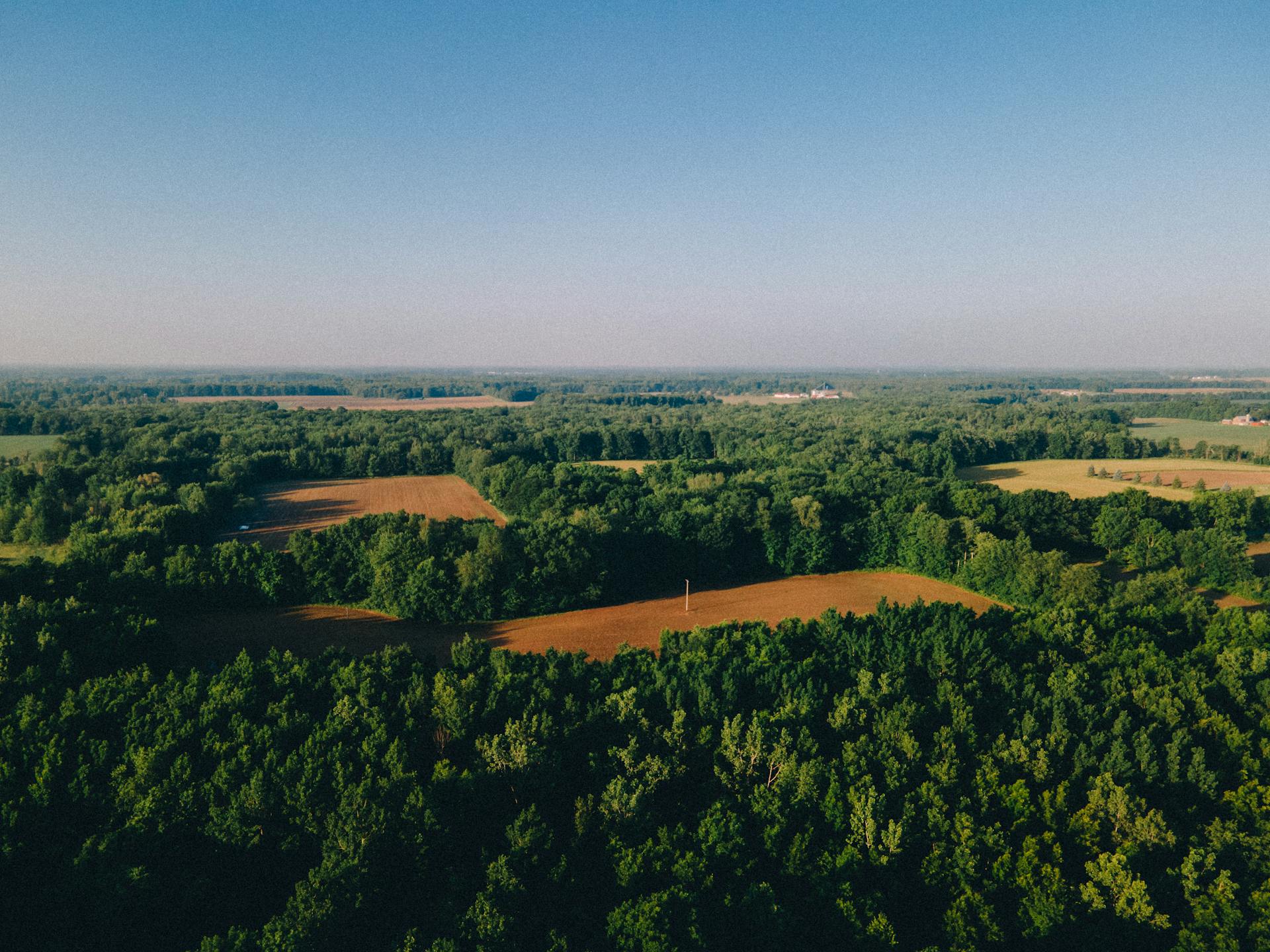 Drone shot of lush agricultural landscapes and blue skies in Fulton, Michigan.