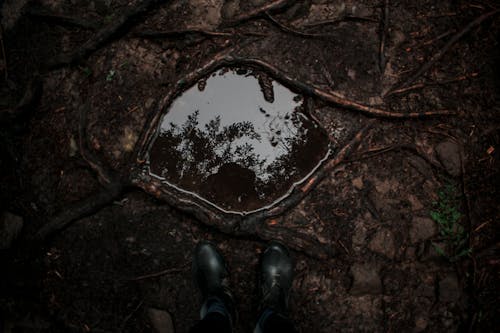 Top View of a Puddle on the Ground