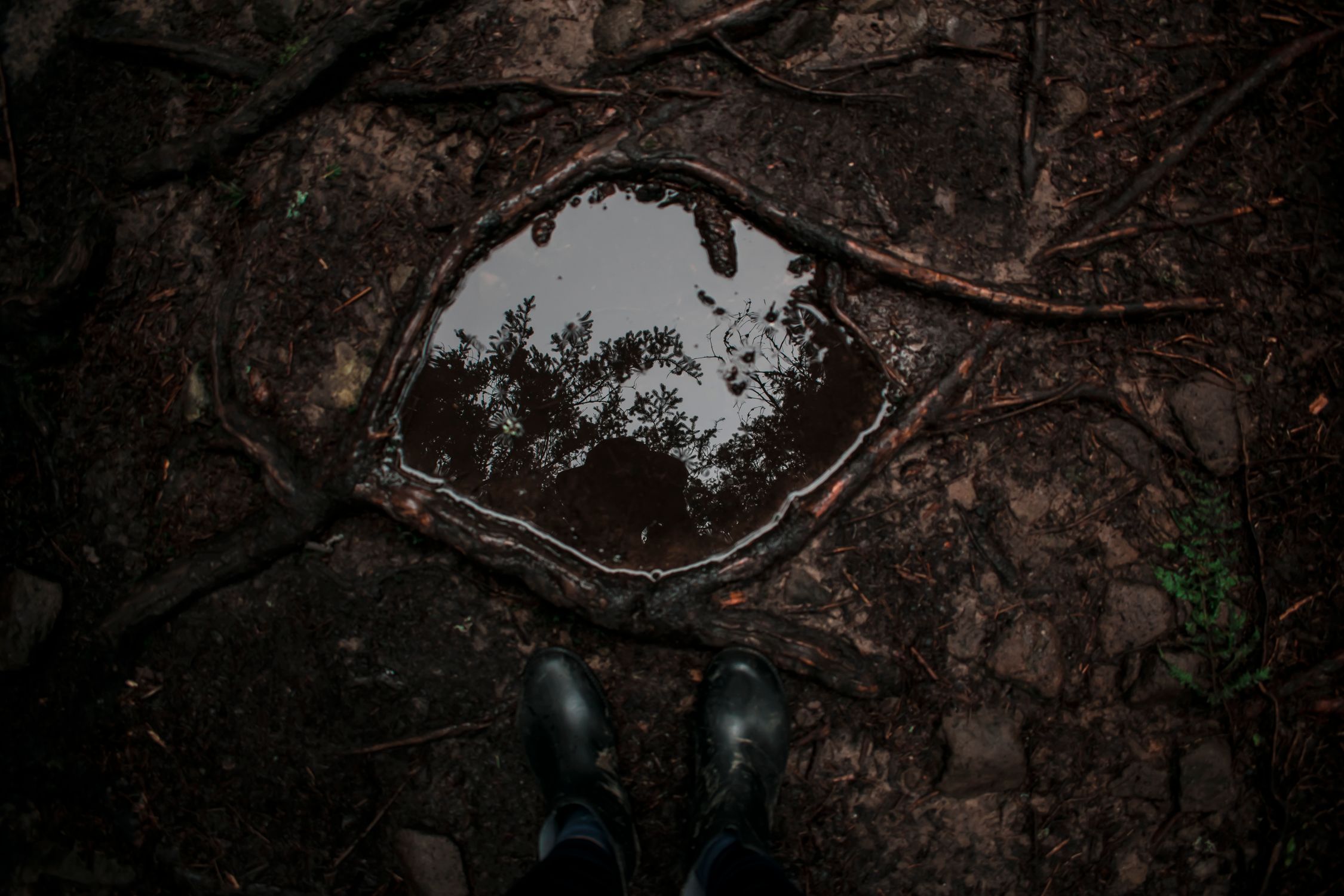 Top View of a Puddle on the Ground · Free Stock Photo