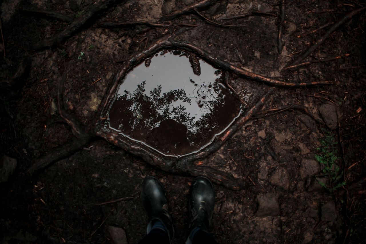 reflective puddle on a forest floor in the carpathians ukraine