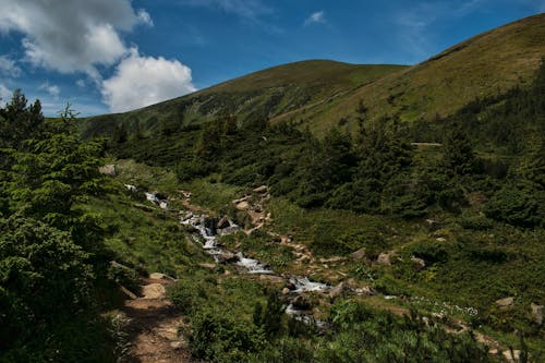 Scenery of River Between  Green Mountains Under Blue Sky