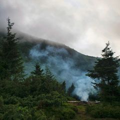Forest fire breaks out in Thesprotia, Greece