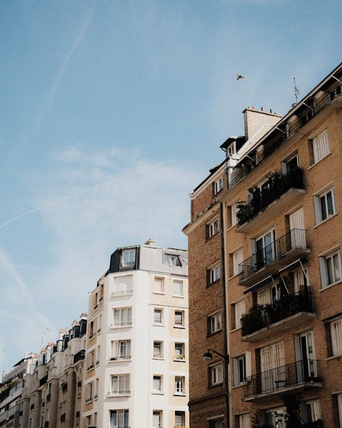 Buildings in City