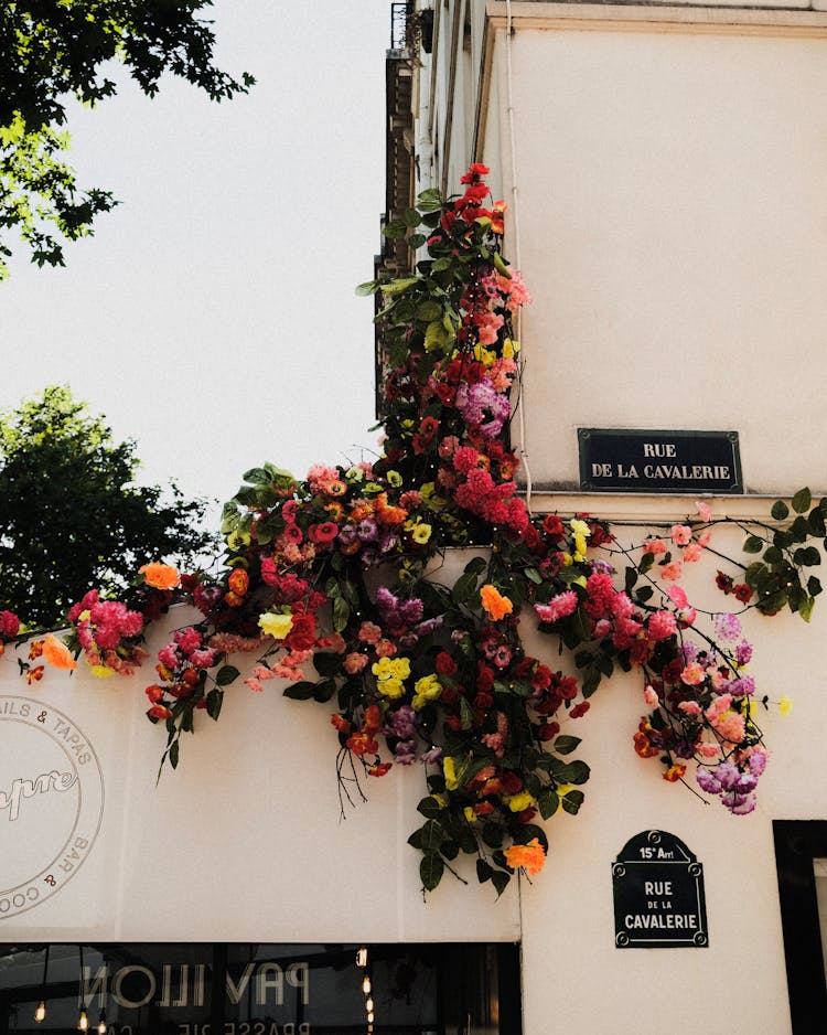 Flower Decoration On Building Balcony