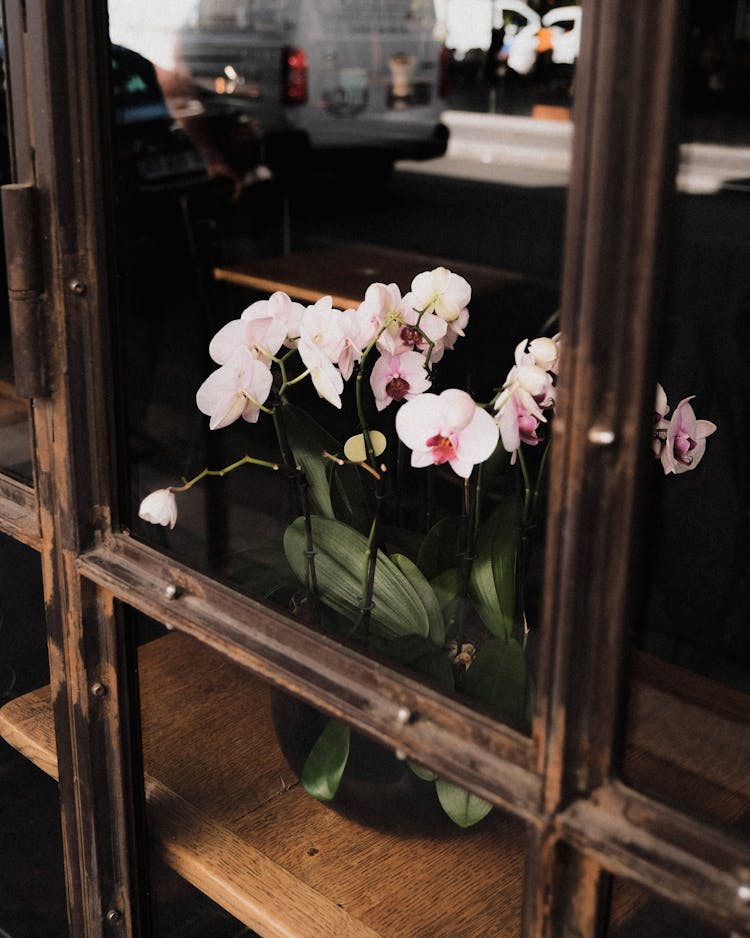 Flowers On Shelf Behind Window