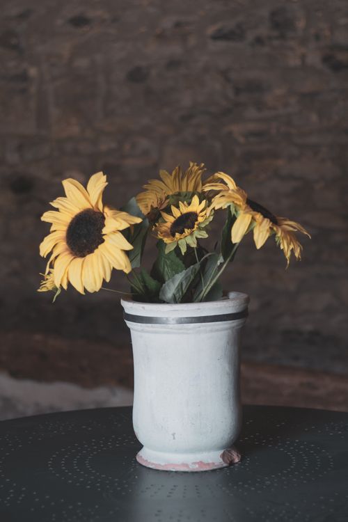 Sunflowers in a Ceramic Vase · Free Stock Photo