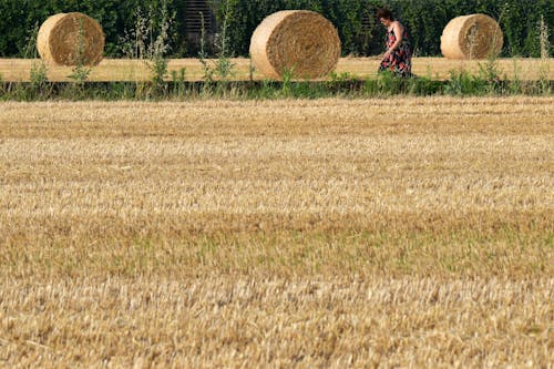 Free Woman Walking in Hay Field Stock Photo