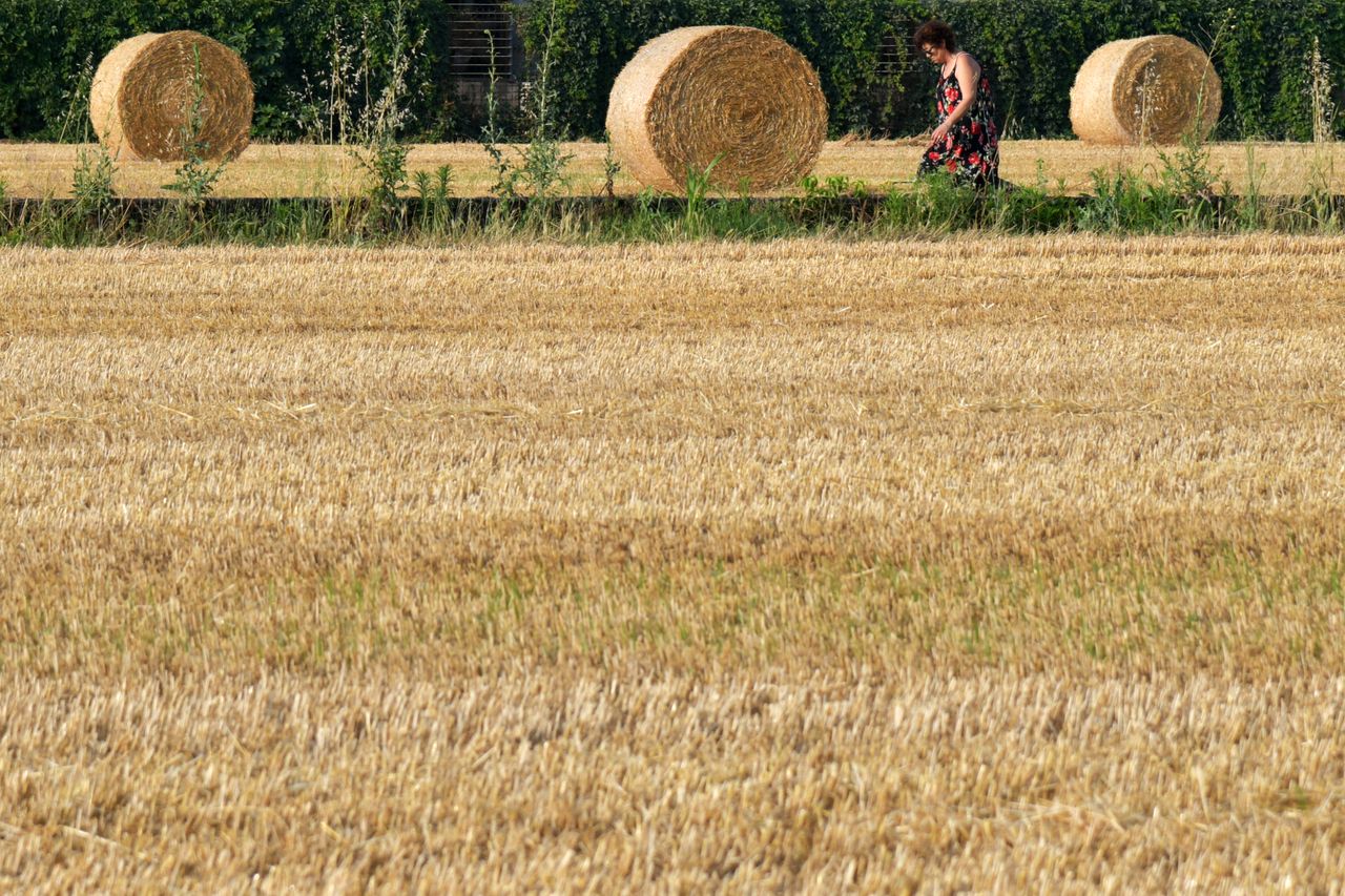a serene countryside scene featuring a woman walking amid hay bales in