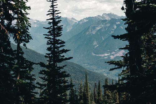 Free Explore the stunning Canadian mountain view surrounded by lush evergreen forests under a cloudy sky. Stock Photo