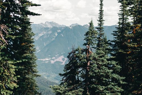 Free A breathtaking view of Canadian mountains framed by lush evergreen trees under a cloudy sky. Stock Photo