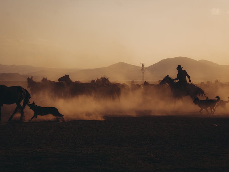 What is cowboy bacon?