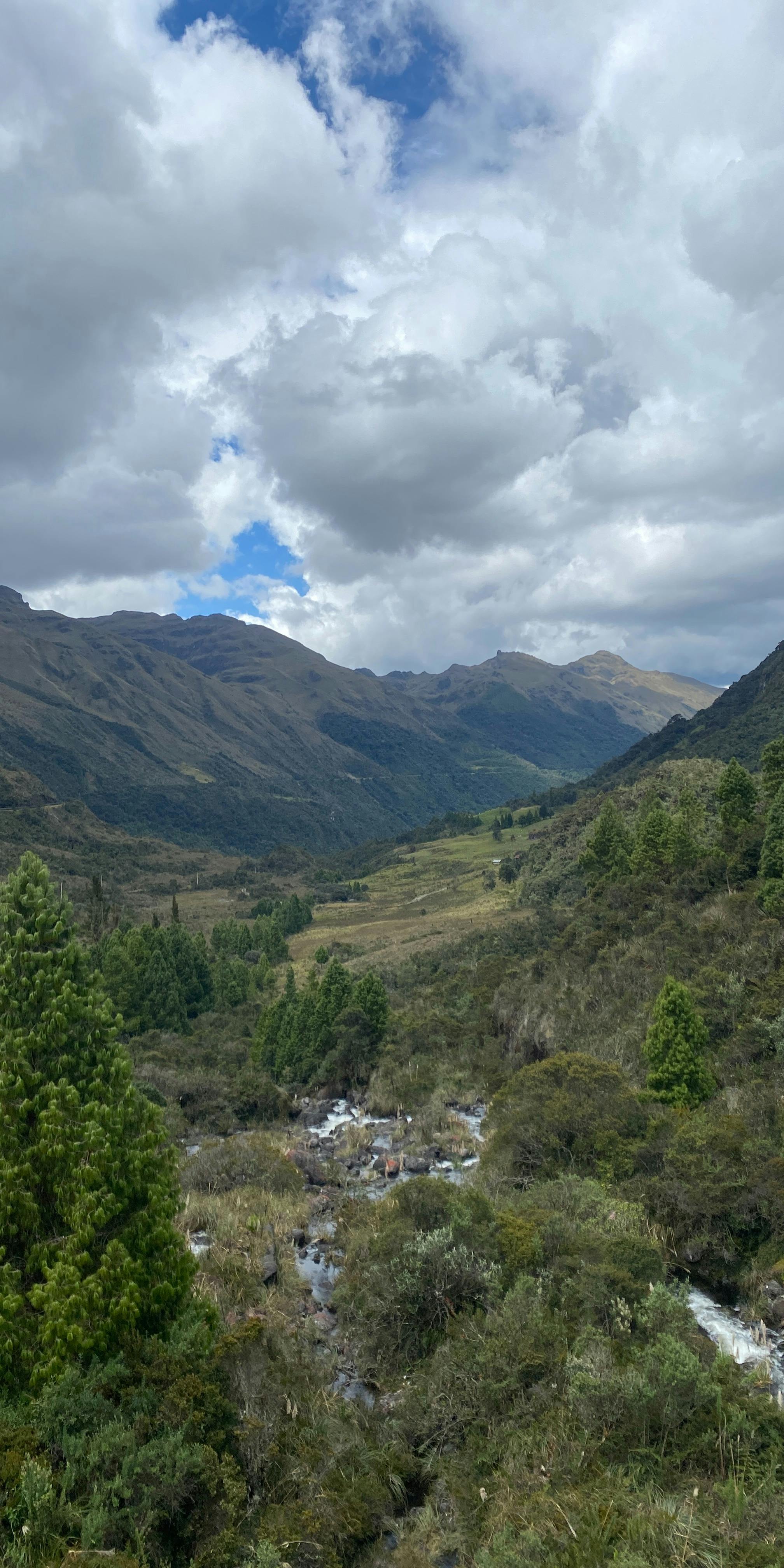 Paul Castle Photography