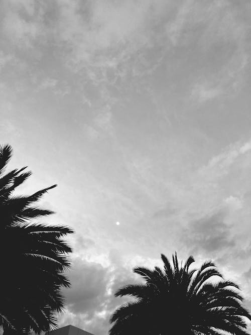 Darmowe zdjęcie z galerii z czarno-biały, monochromatyczny, niebo