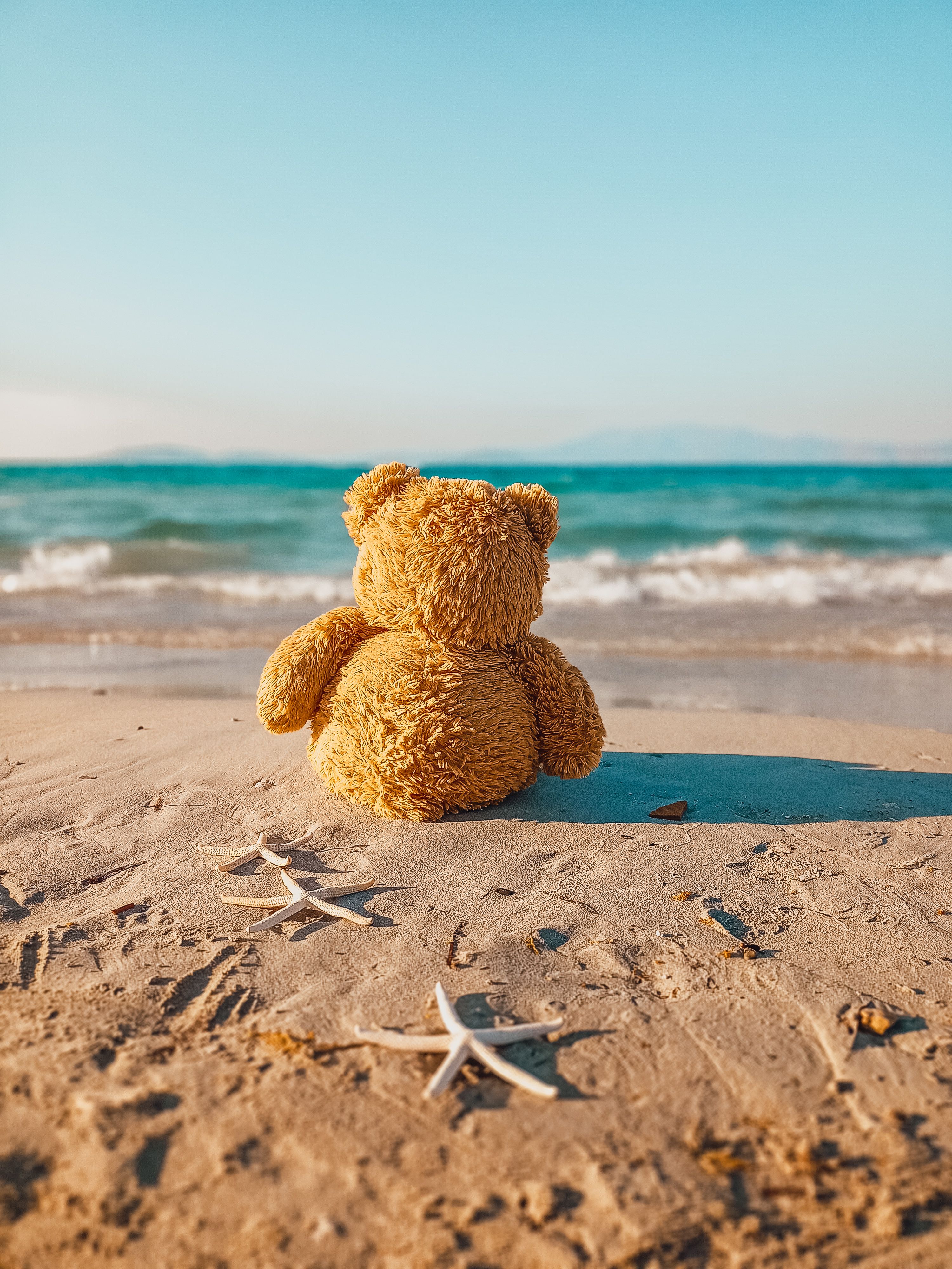 Bear Greg - Extended Vacation On Trantor