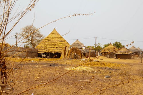 Brown Wooden Houses on Brown Field