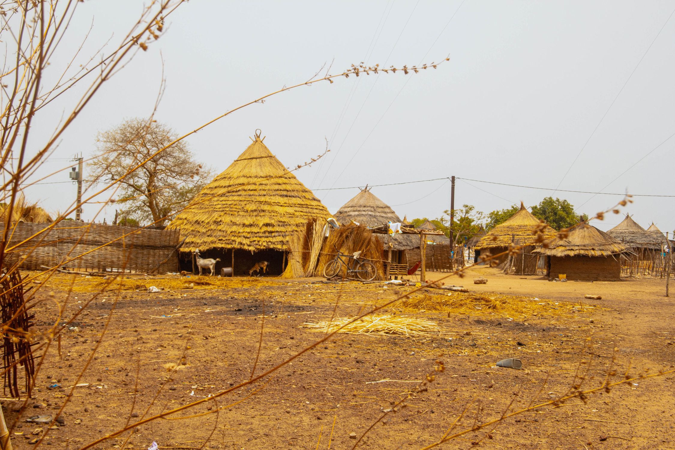 Pros-Pierre Traditional thatched houses in a rural Senegal village surrounded by open fields