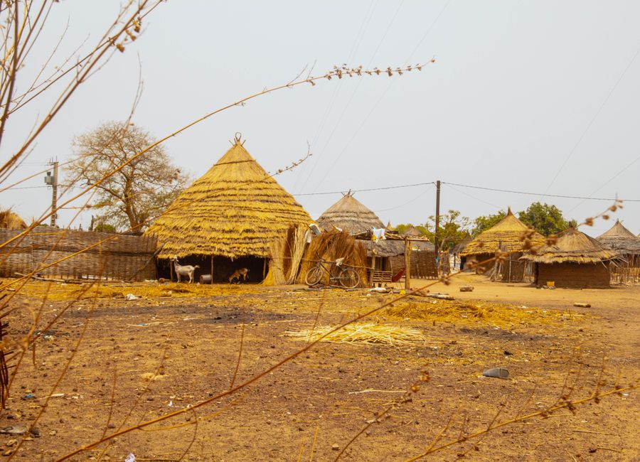 Explore traditional nipa huts in a rural Senegal village, showcasing a serene countryside setting.