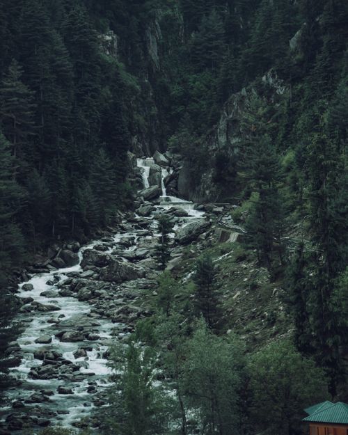 Free A tranquil waterfall and rocky stream flowing through a dense, green forest. Stock Photo